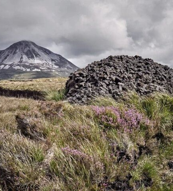 places_to_explore_coast_and_castles_img13_1x