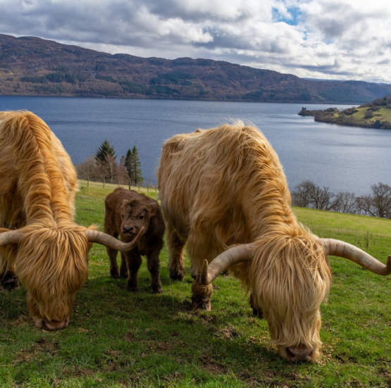 places_to_explore_gems_of_scotland_img3_1x